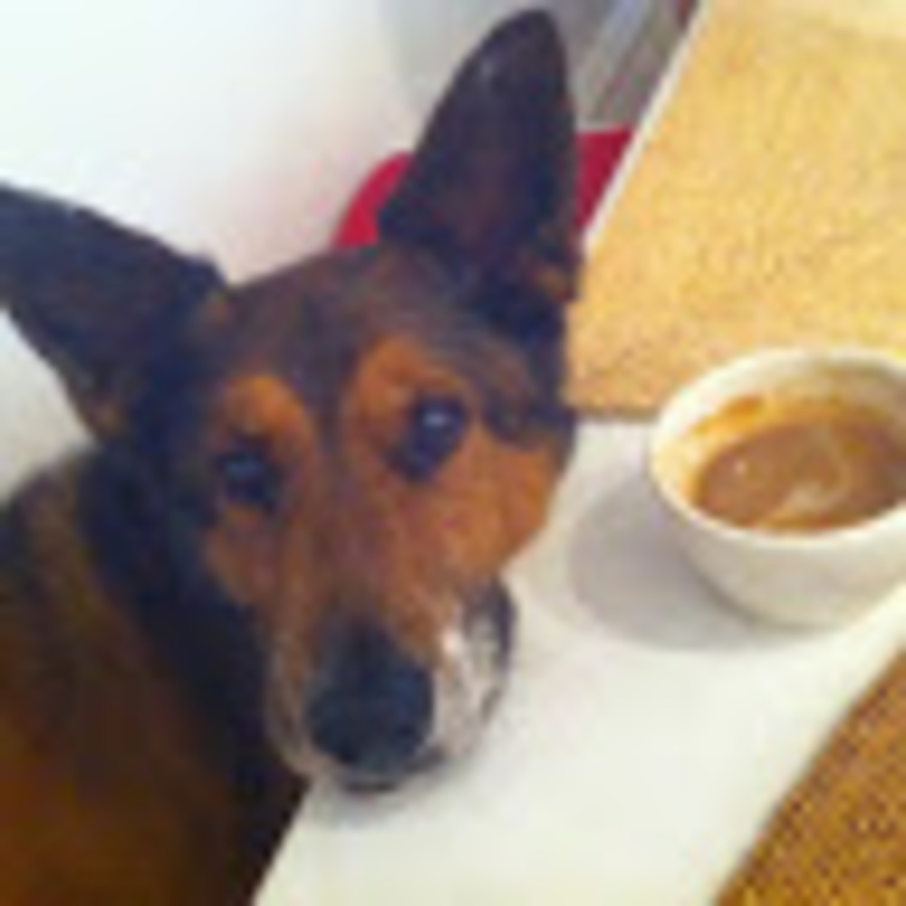 Meet your Posher, Kate